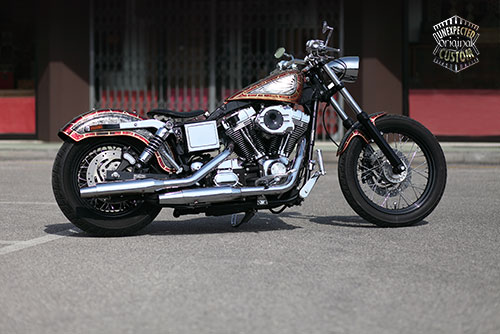 harley davidson dyna snake