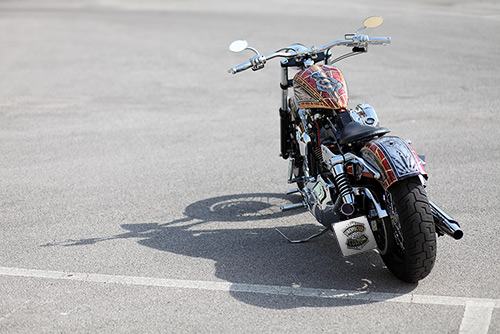 harley davidson dyna snake