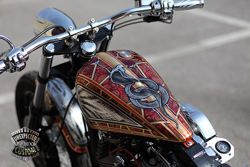 harley davidson dyna snake