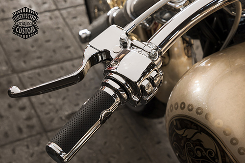 harley davidson medusa custom